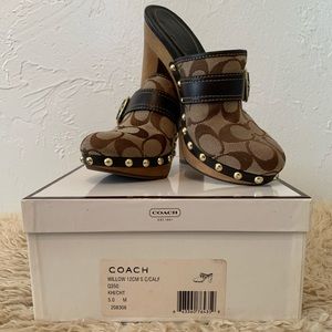 Brown Willow Signiture